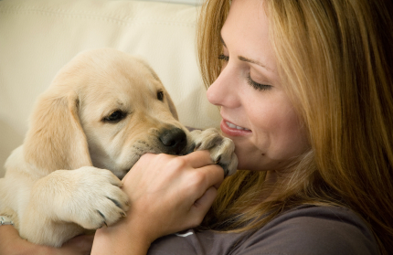 To Bite or not to Bite: Teaching Puppies to Bite Safely